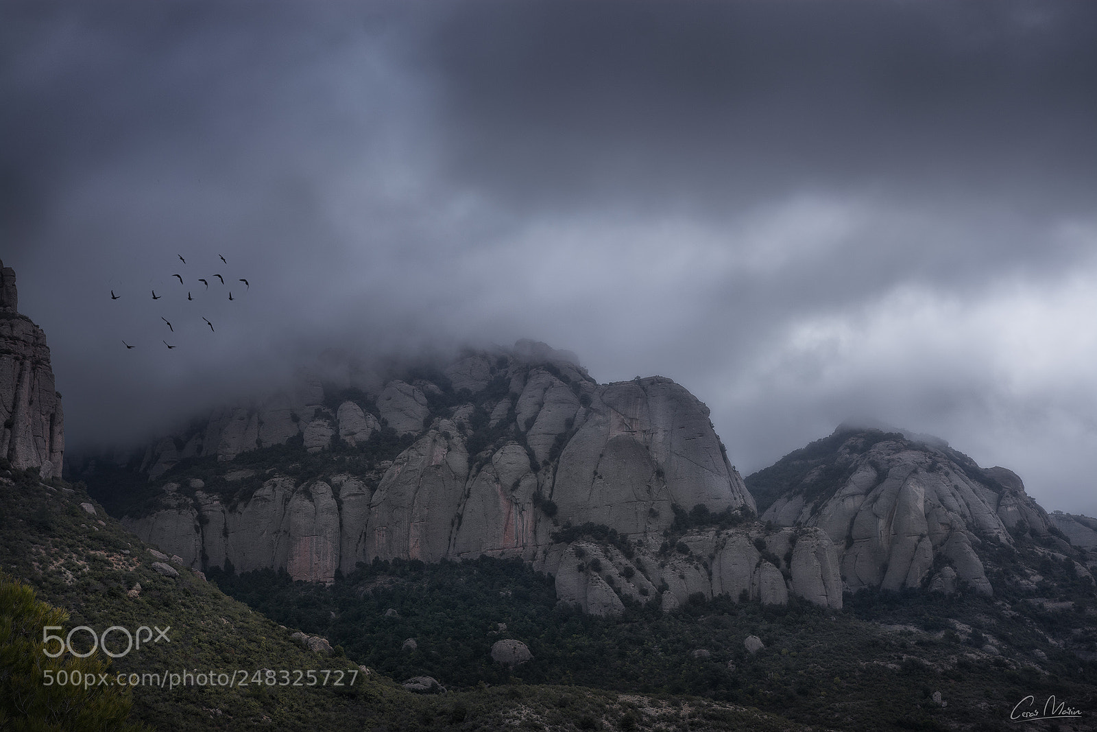 Nikon D7100 sample photo. Montserrat photography