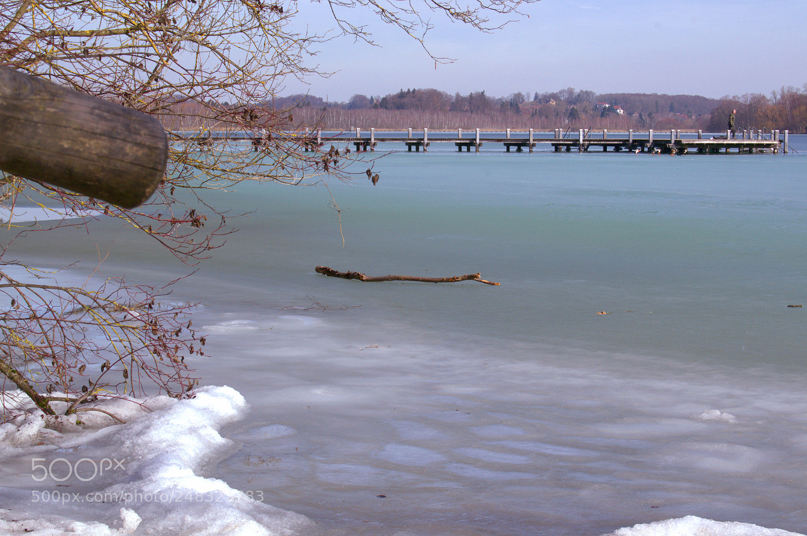 Nikon D3100 sample photo. Frozen photography