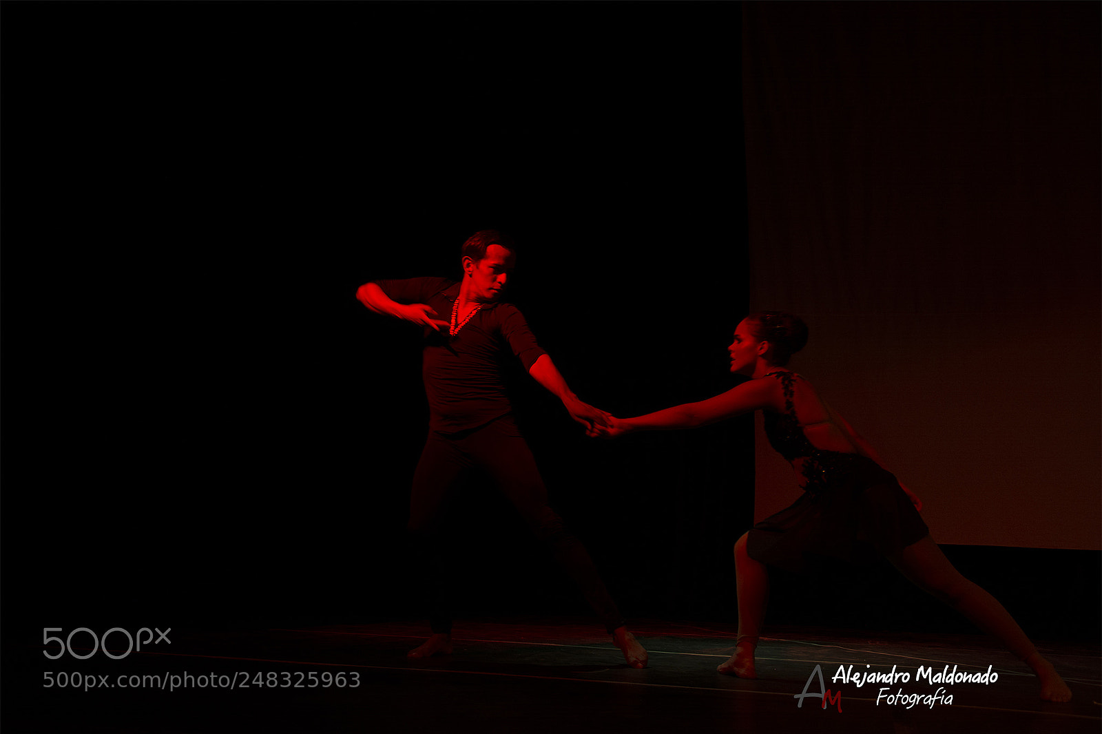 Nikon D7100 sample photo. Red & black photography