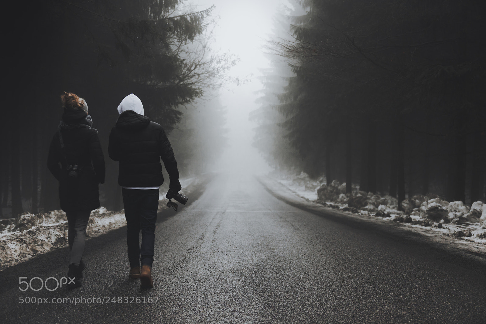 Nikon D3X sample photo. Foggy and cozy photography