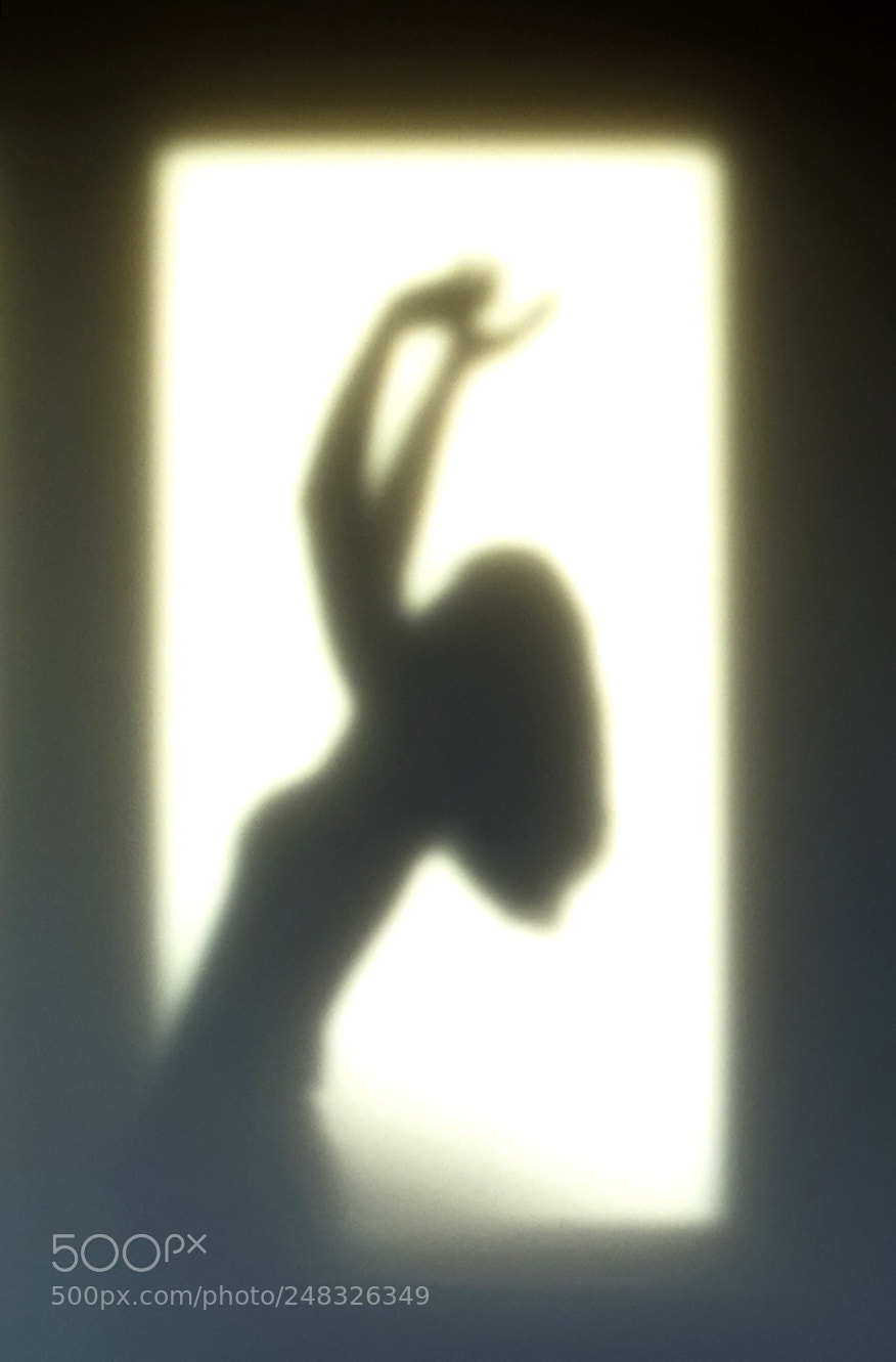 Sony Cyber-shot DSC-HX400V sample photo. Schatten im fenster #2 photography
