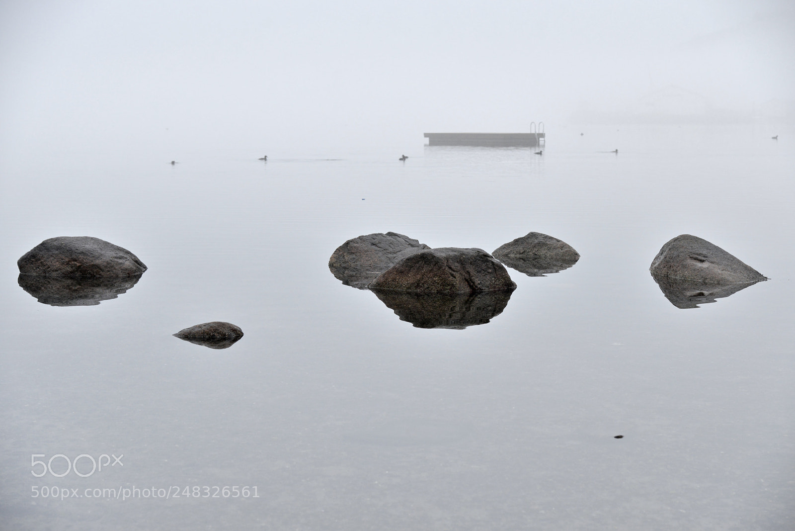 Nikon D800 sample photo. Swept in fog photography
