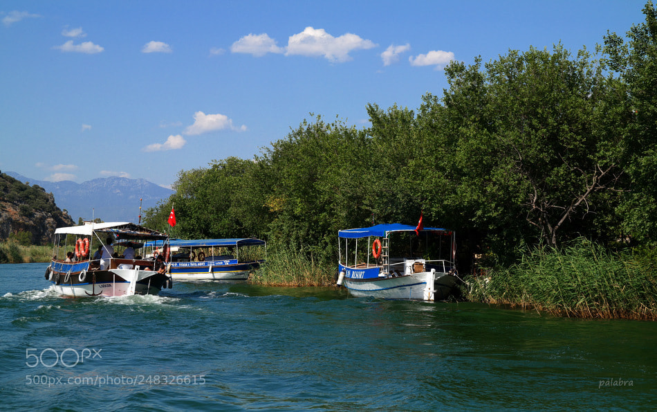 Samsung NX30 sample photo. ... photography
