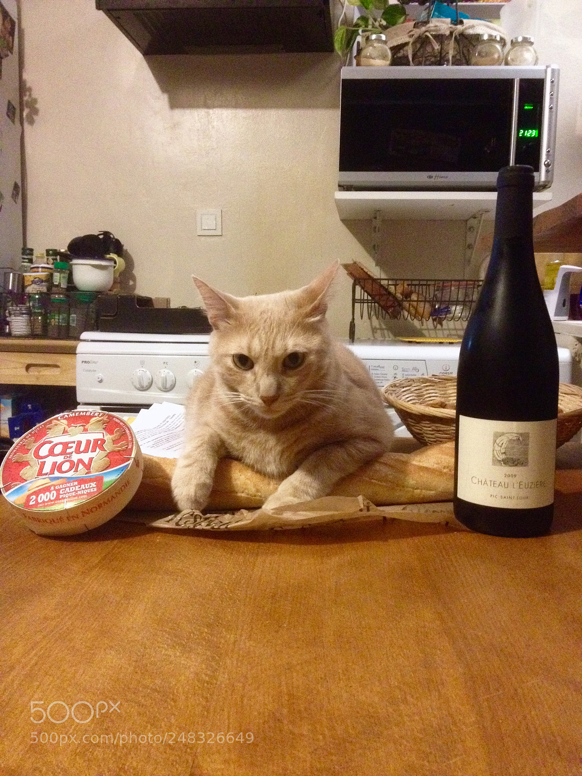 Apple iPhone 4S sample photo. French cat !? photography