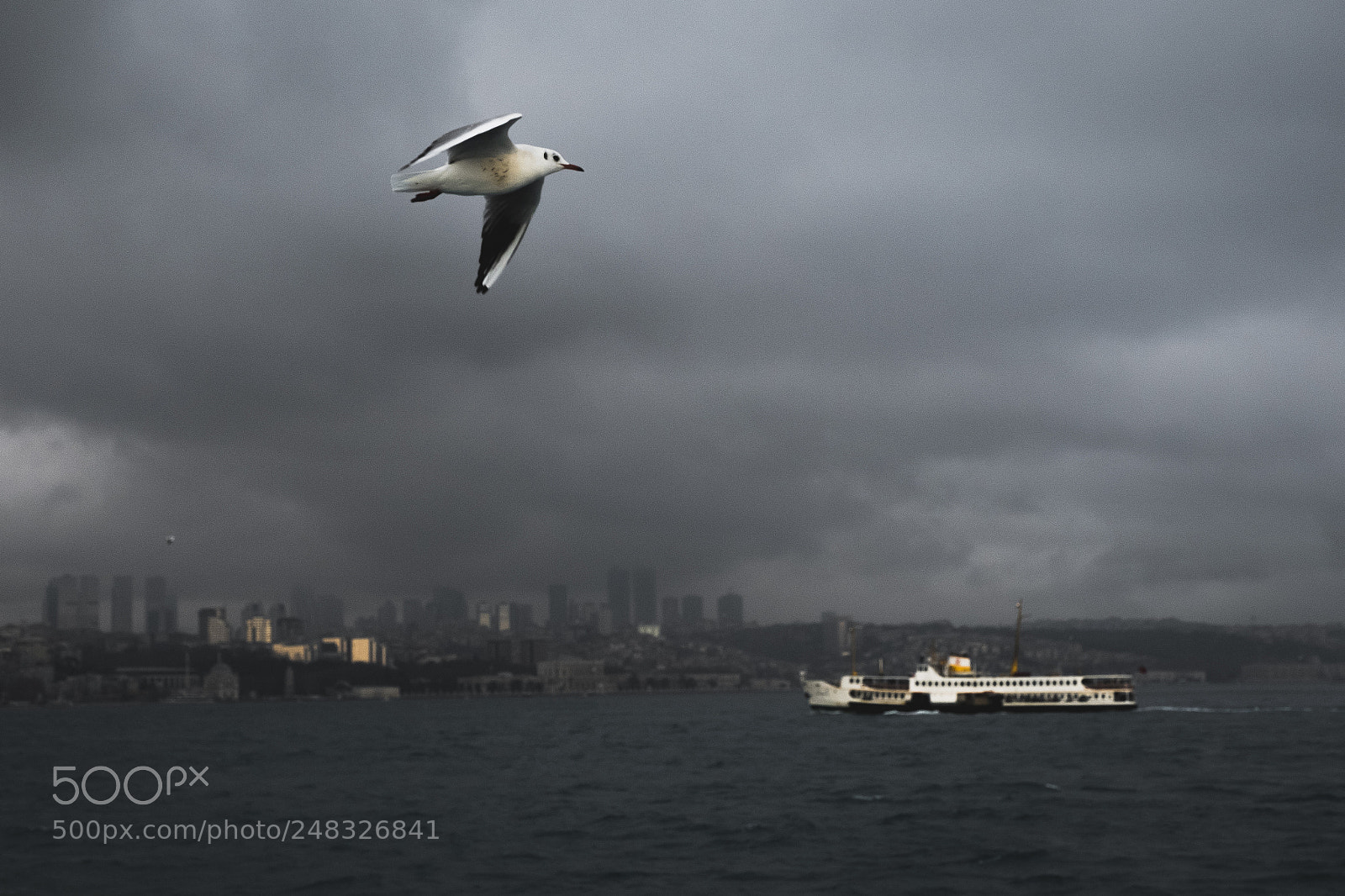 Fujifilm X-T2 sample photo. Best friends of istanbul photography