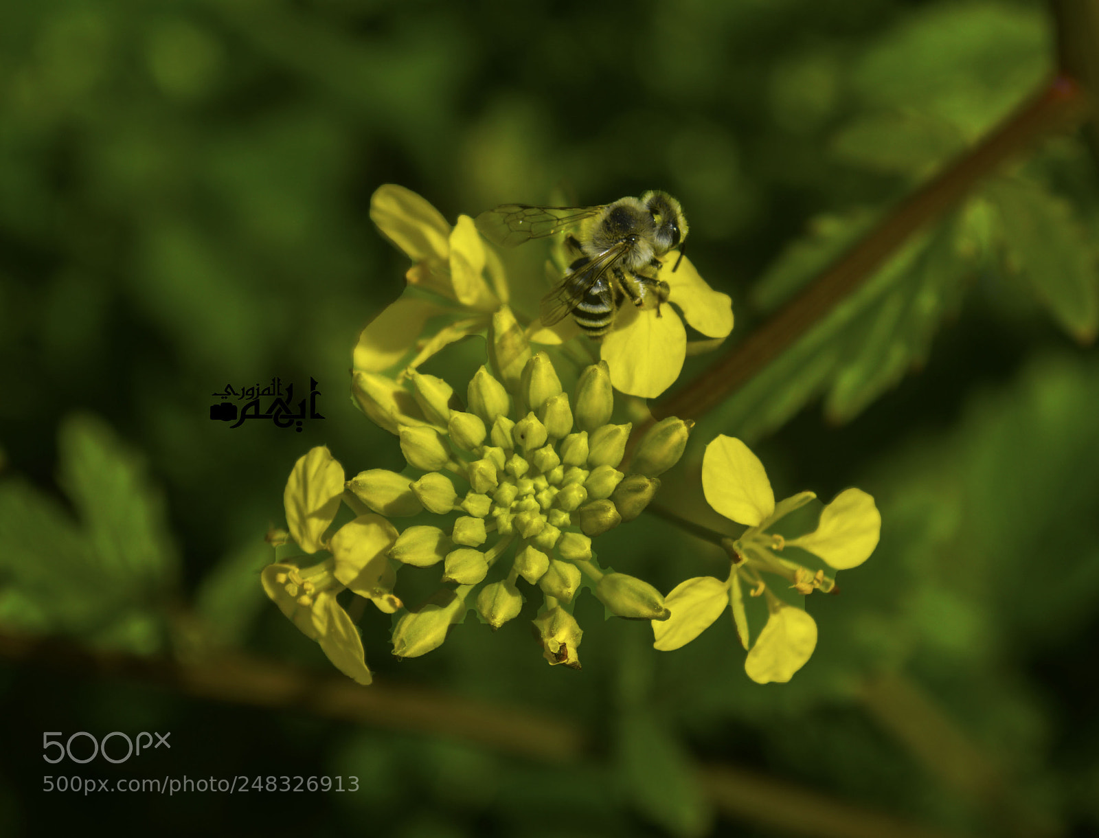 Nikon D3200 sample photo. Untitled photography