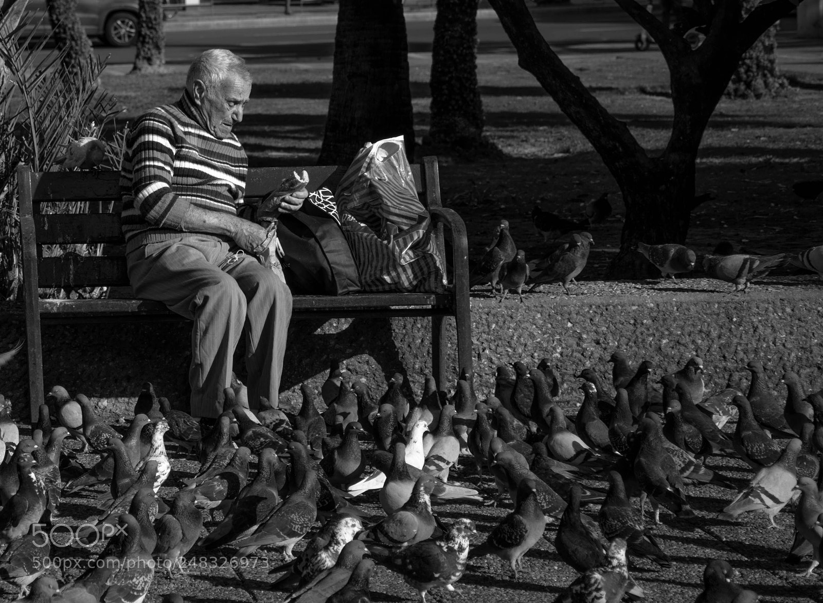 Nikon D7200 sample photo. The old man and photography