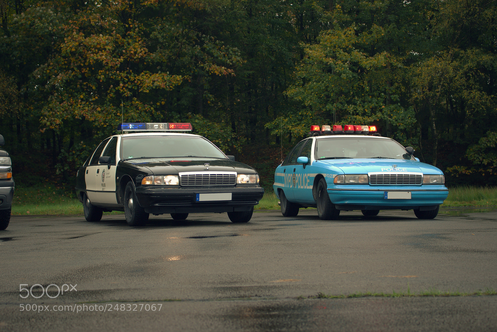 Canon EOS 700D (EOS Rebel T5i / EOS Kiss X7i) sample photo. Caprice bros photography