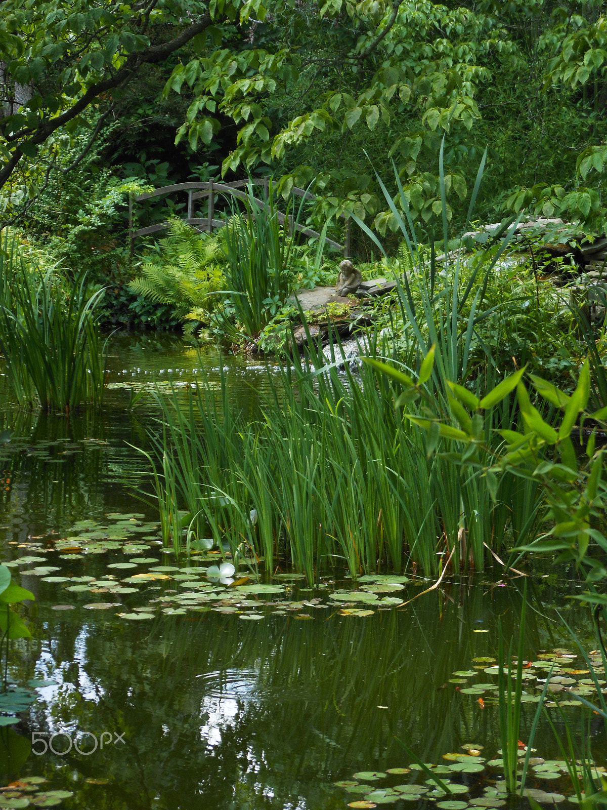 Nikon Coolpix S6200 sample photo. Pond at the barn photography