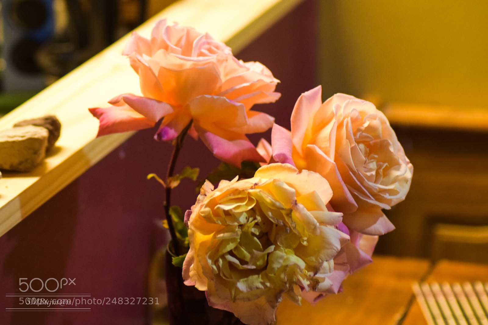 Nikon D5300 sample photo. Despedida photography