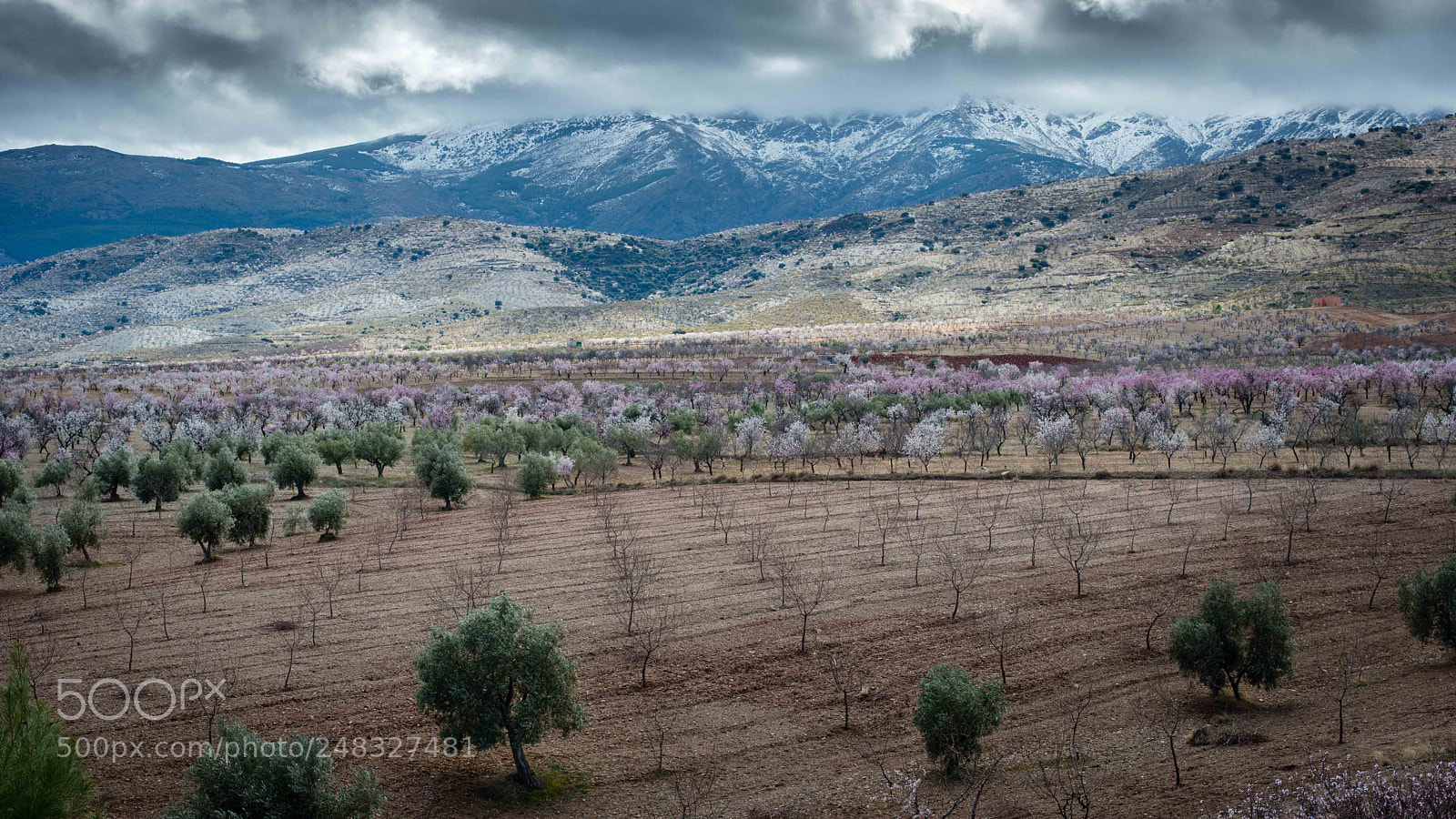 Nikon D800 sample photo. Sierra nevada photography