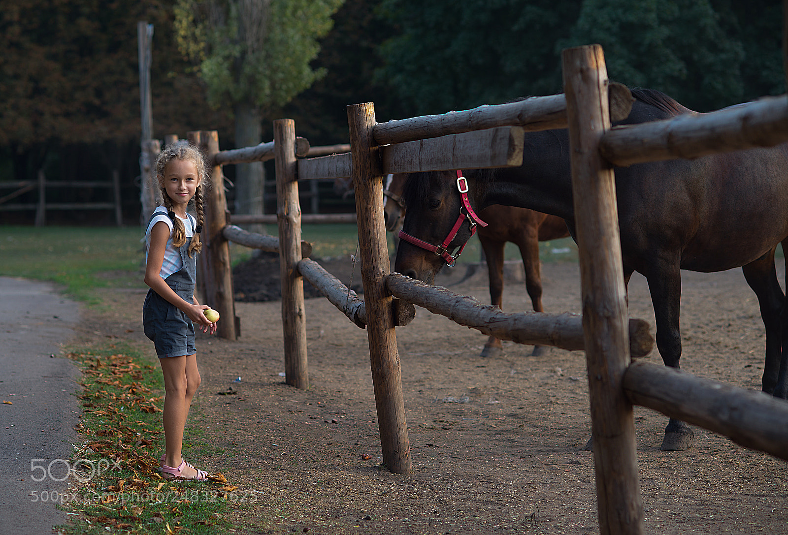 Nikon D610 sample photo. Nika photography
