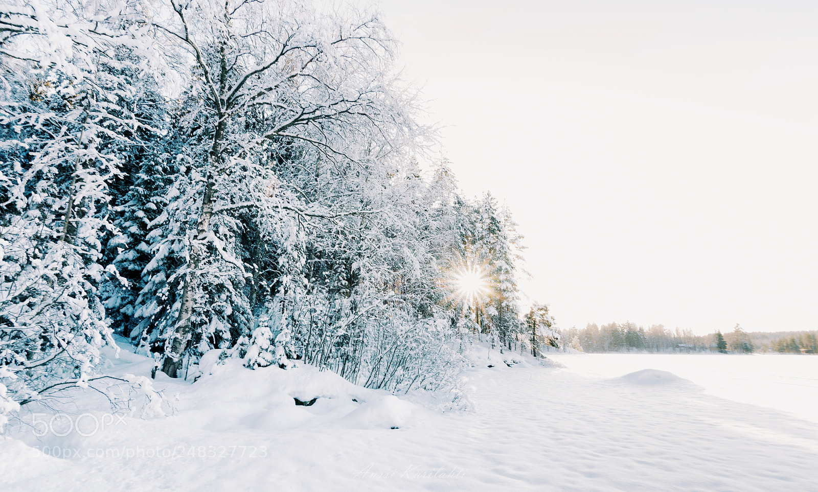 Nikon D600 sample photo. Snow sun photography