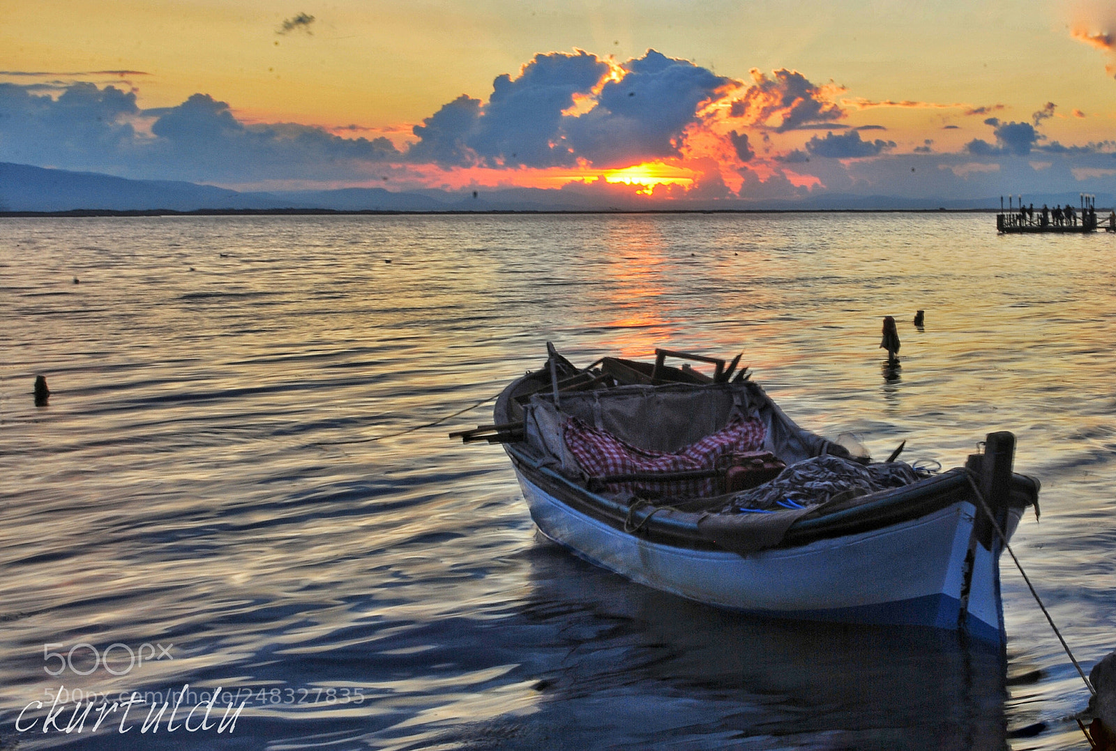 Nikon D60 sample photo. Alone photography