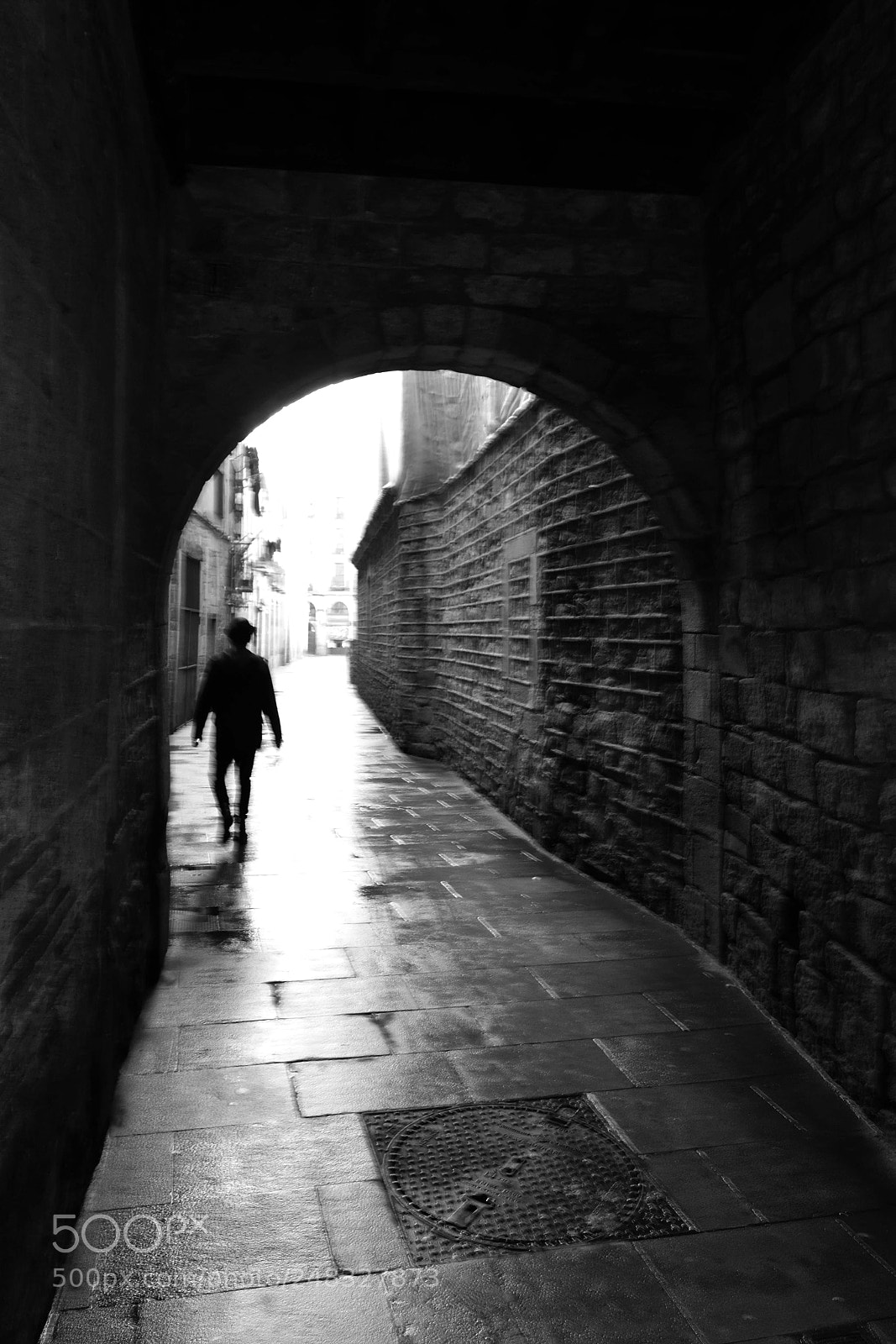Nikon D7200 sample photo. Dream walk photography