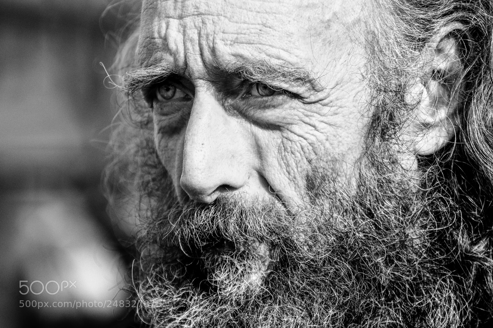 Fujifilm X-T2 sample photo. Graham, busker in lille photography