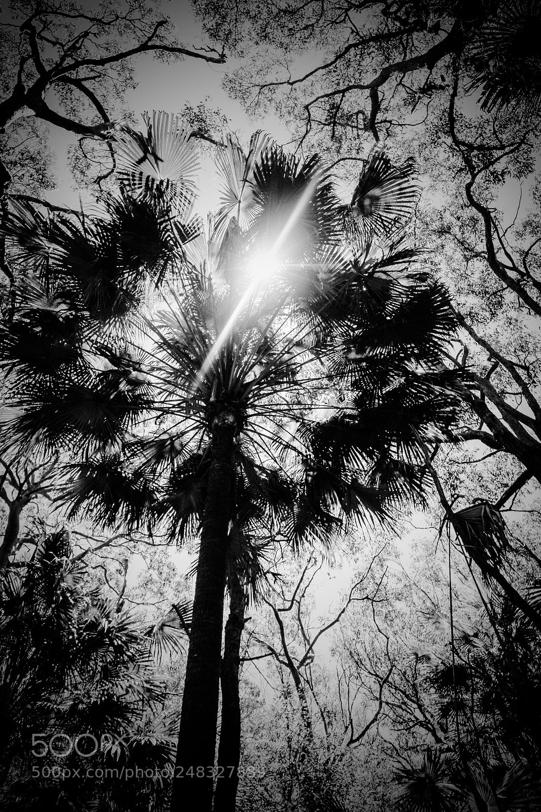 Canon EOS 7D sample photo. A little ray of photography