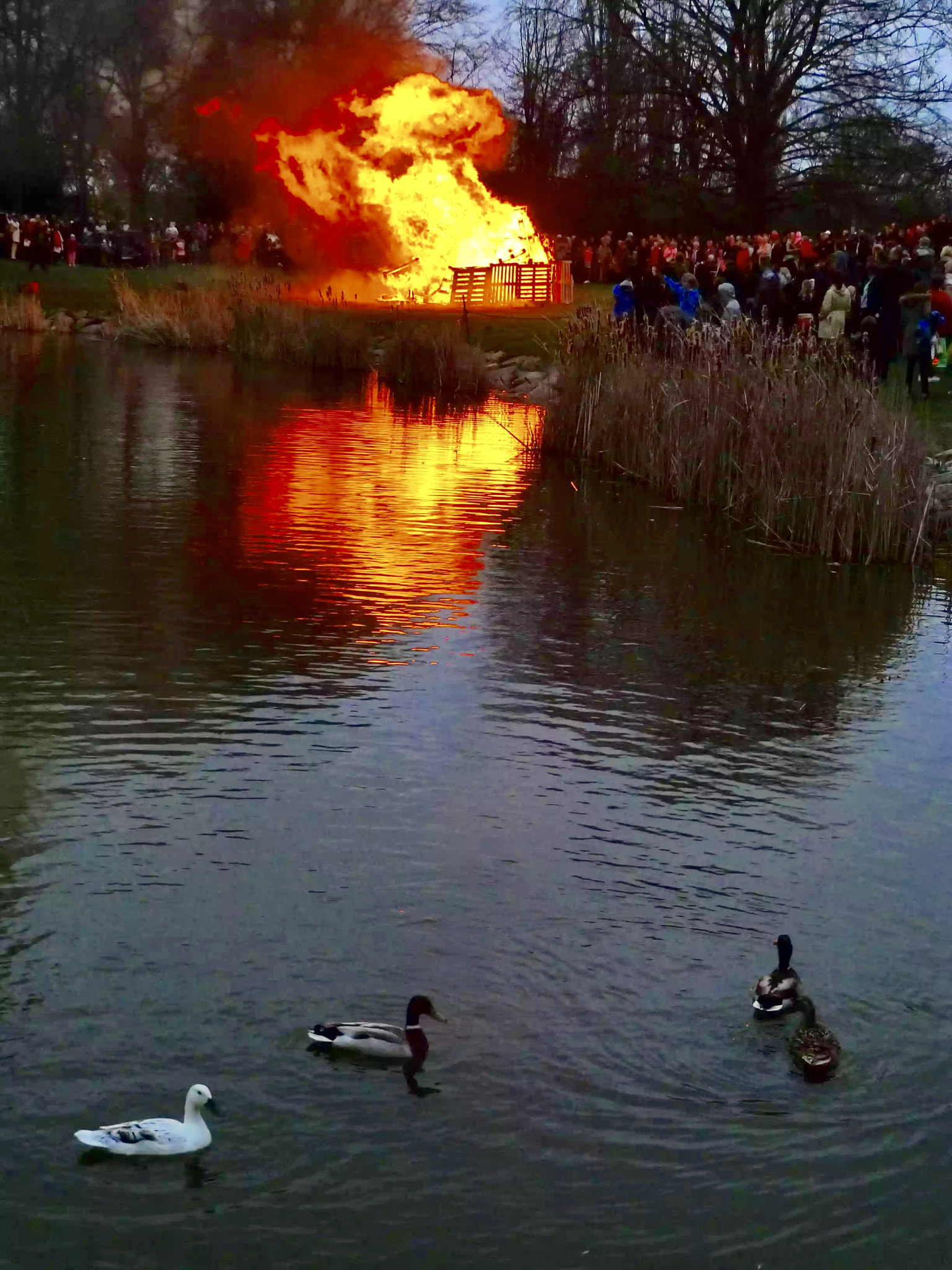Panasonic Lumix DMC-LX3 sample photo. Something is burning in photography