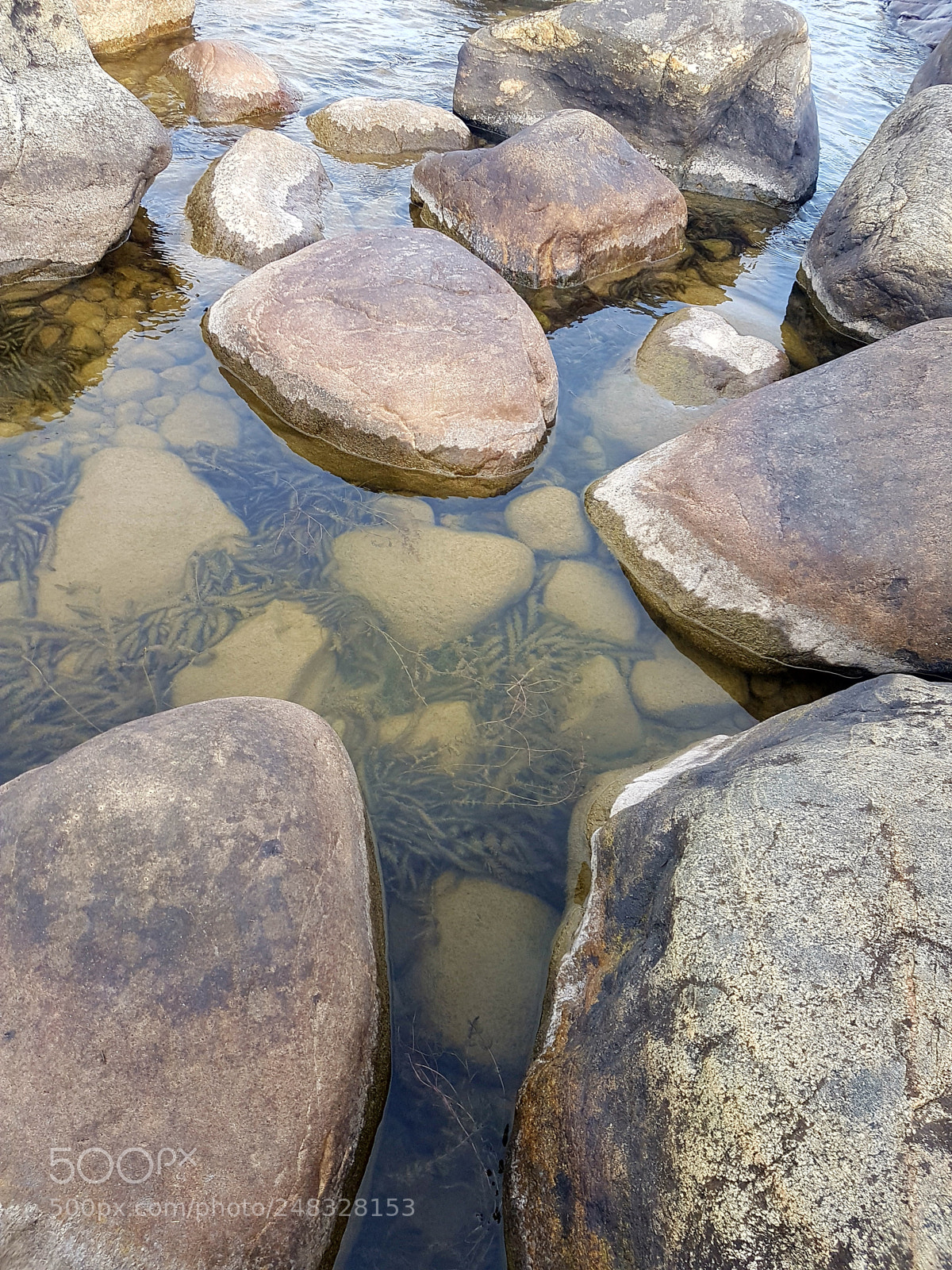 Samsung Galaxy S7 sample photo. Untitled photography