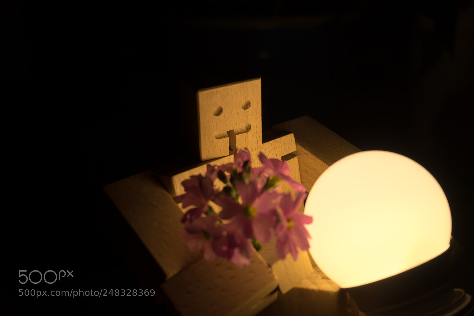 Sony a7 II sample photo. Dsc photography
