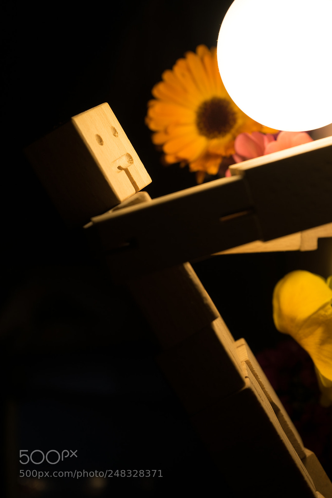 Sony a7 II sample photo. Dsc photography
