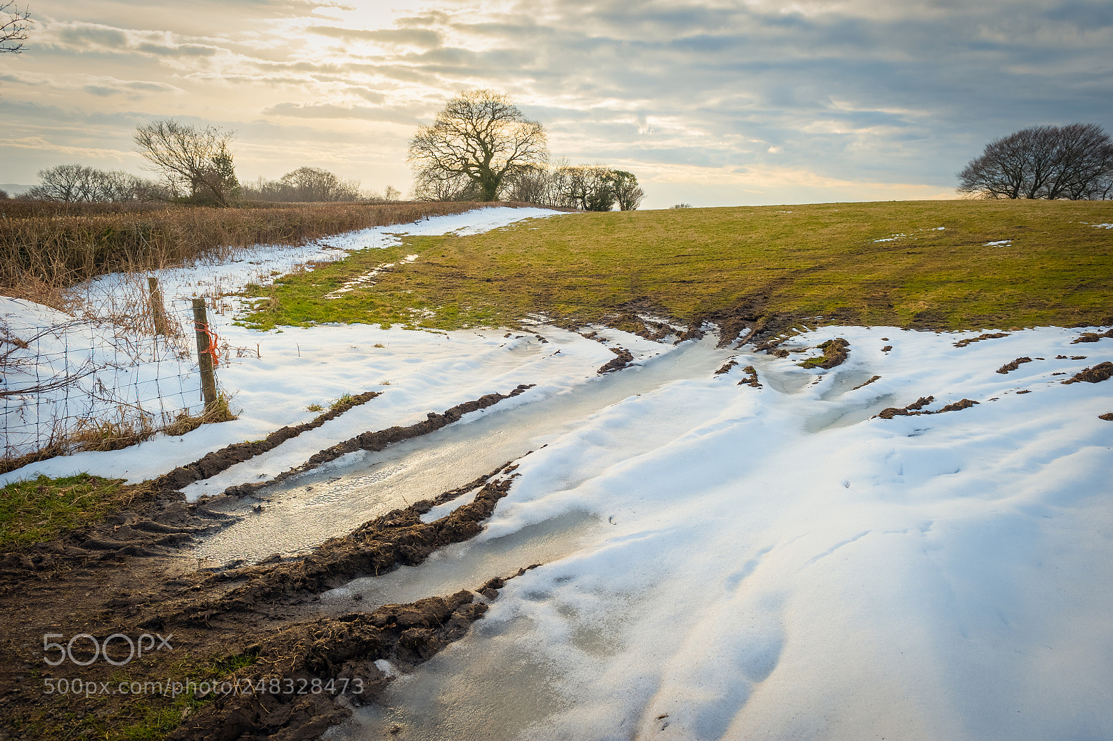 Nikon D700 sample photo. Winter sun on farmland photography