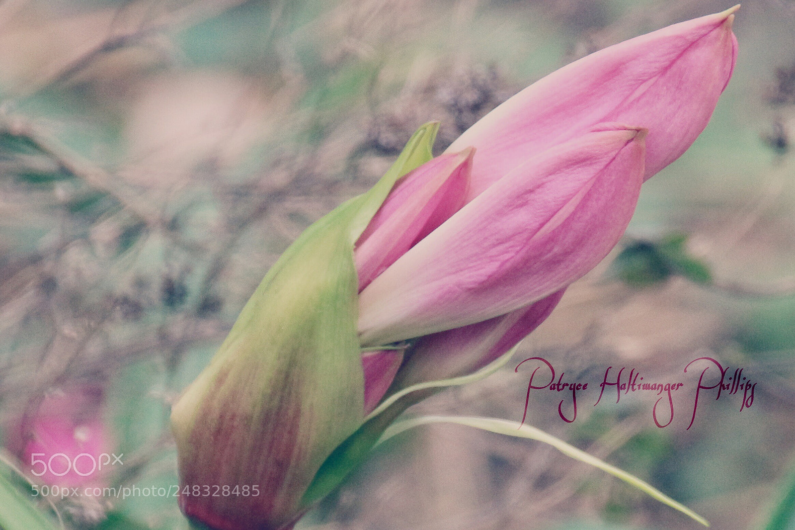 Canon EOS 100D (EOS Rebel SL1 / EOS Kiss X7) sample photo. Beauty of the season photography