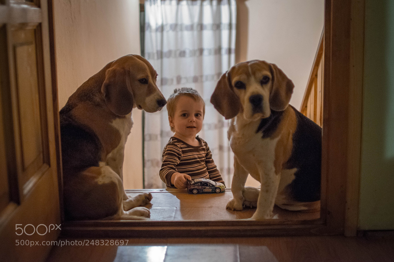 Nikon D5300 sample photo. Playmates photography