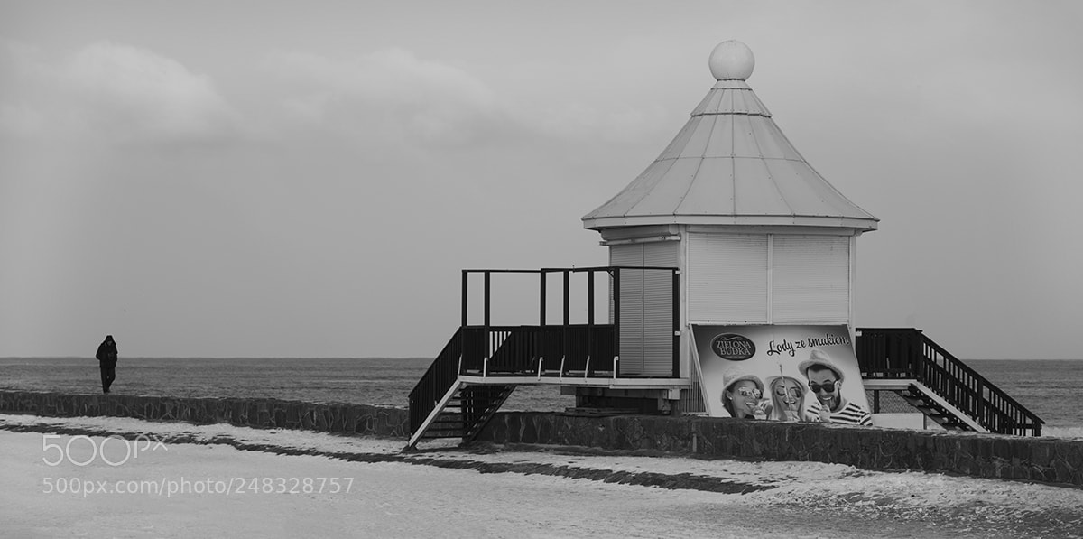 Nikon D600 sample photo. Alone on the beach photography