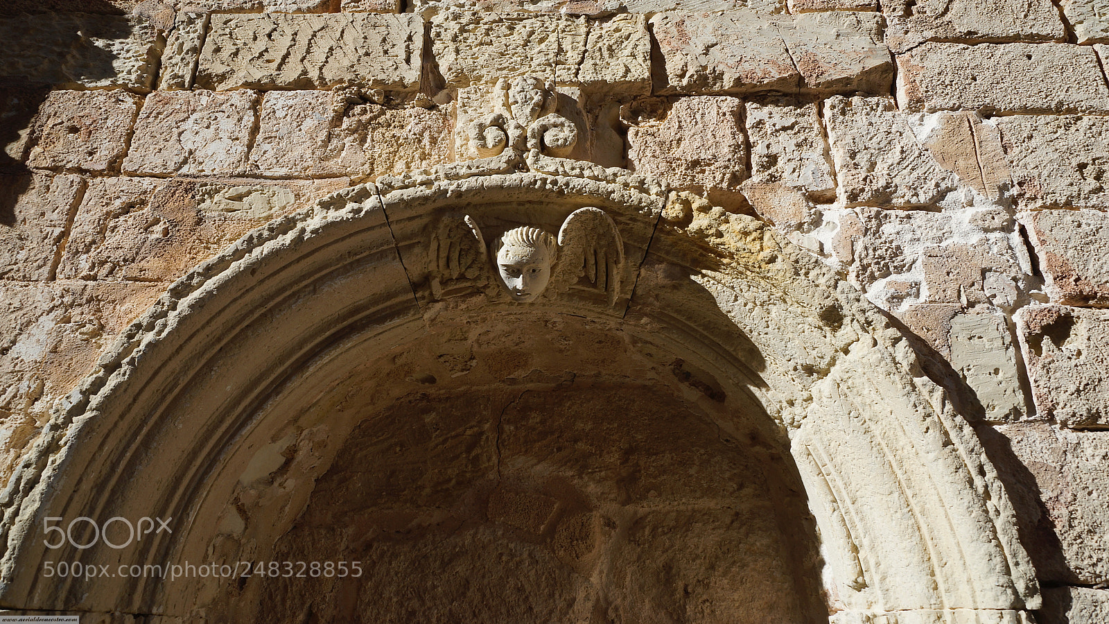 Sony SLT-A99V sample photo. "stone angel" photography