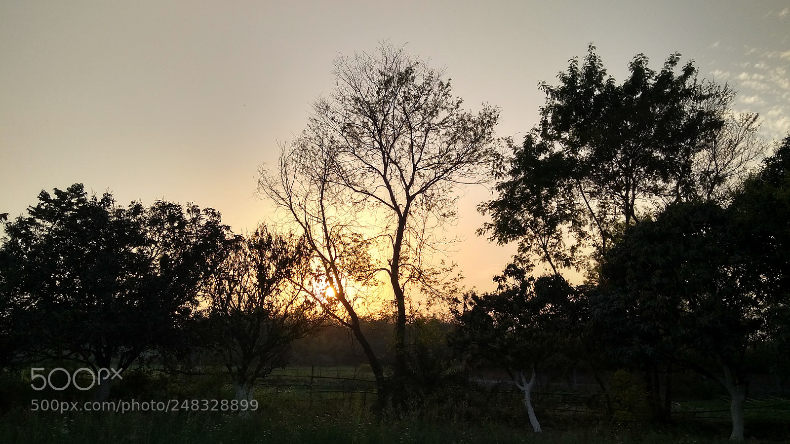 Motorola Moto G (5S) Plus sample photo. Untitled photography