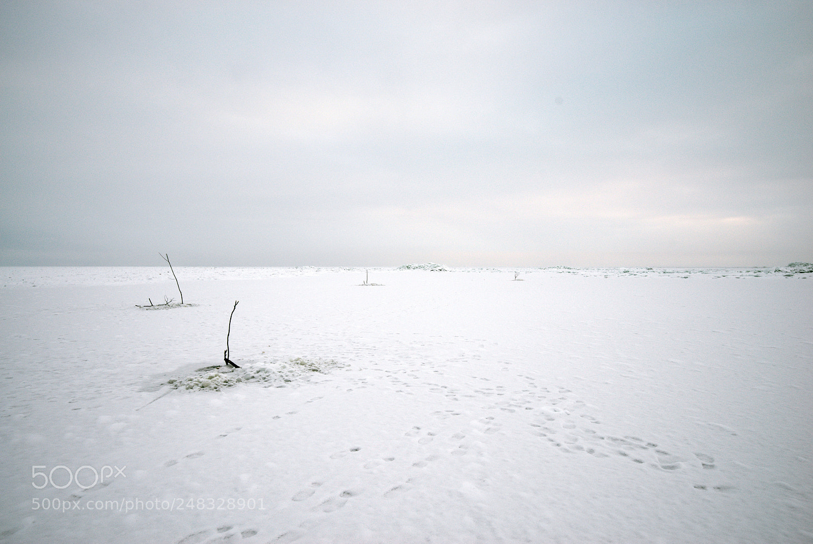 Pentax K-1 sample photo. Fishing under ice in photography
