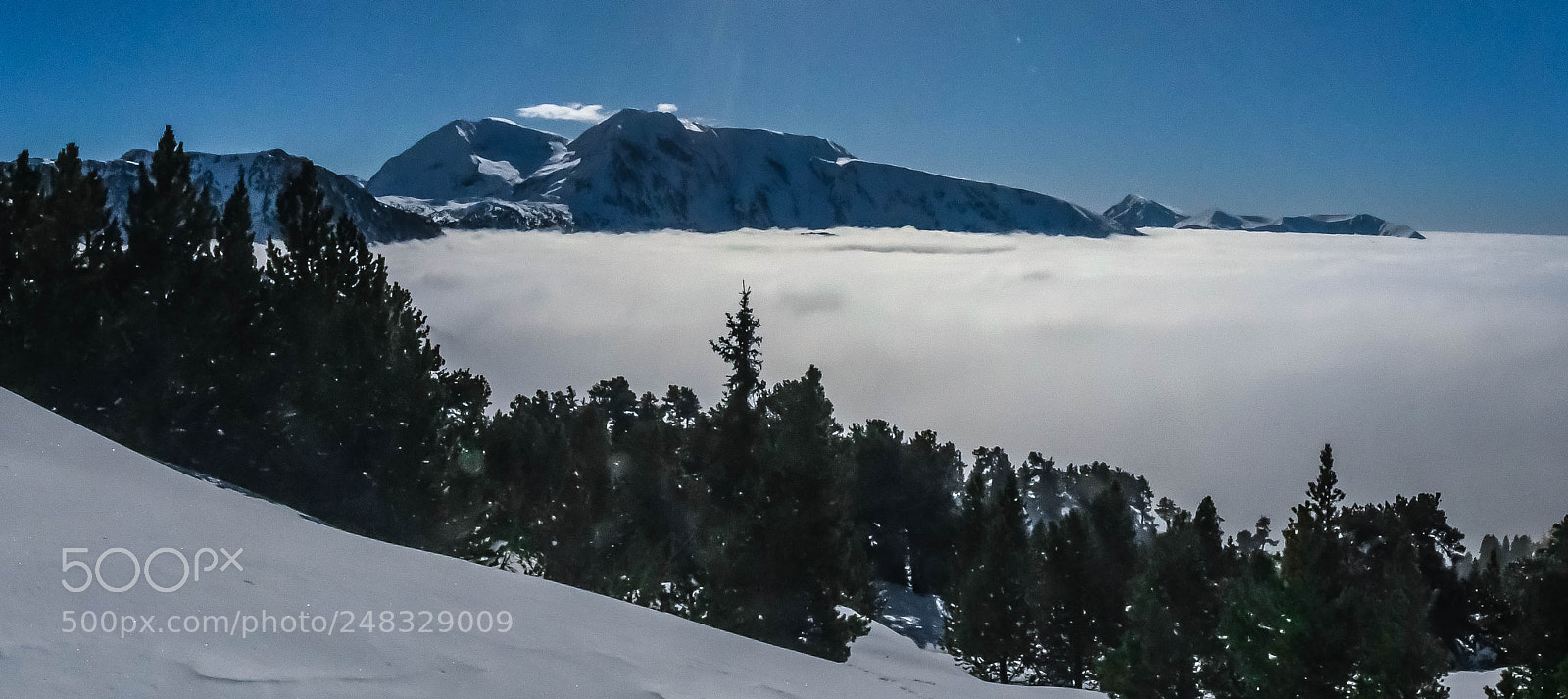Nikon D500 sample photo. Over the clouds photography