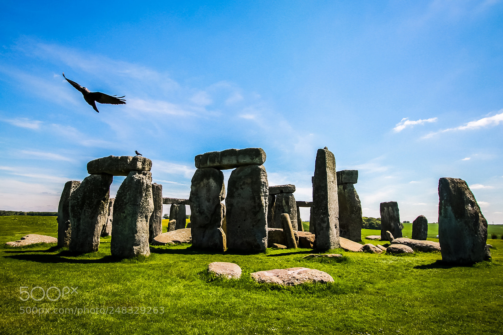 Canon EOS 60D sample photo. Stonehenge bird flight photography