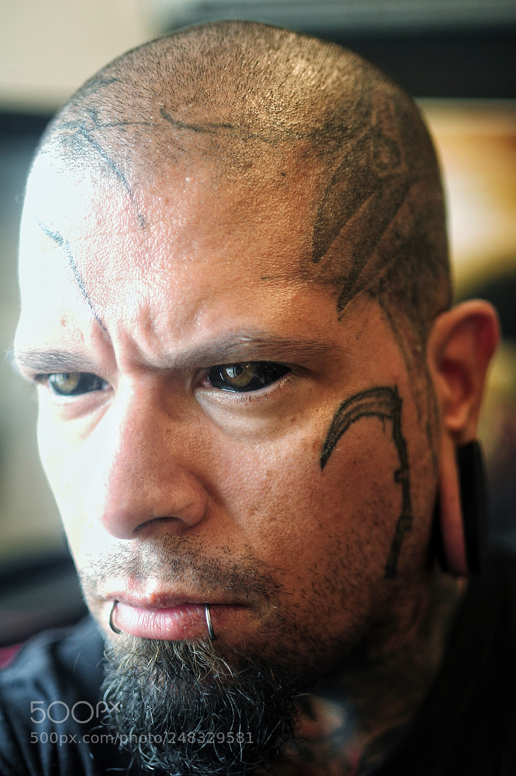 Nikon D5000 sample photo. Self portrait... photography