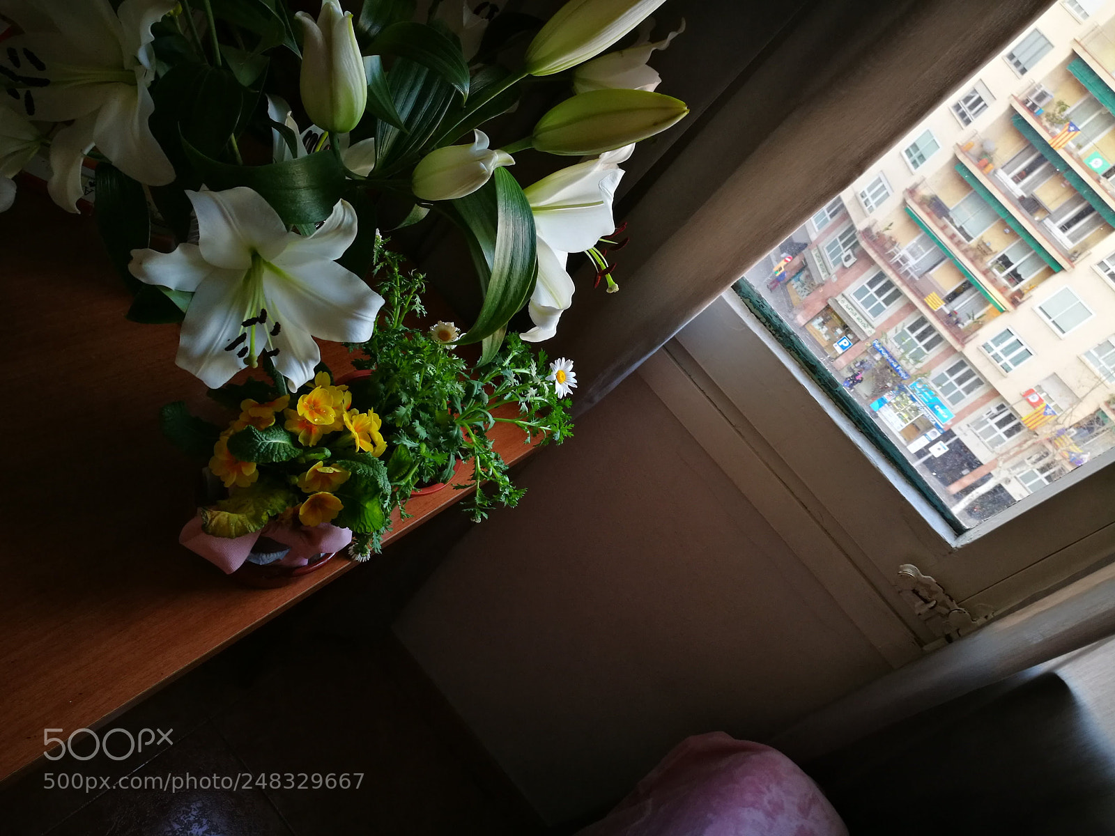 HUAWEI P9 sample photo. Lilies on the window photography