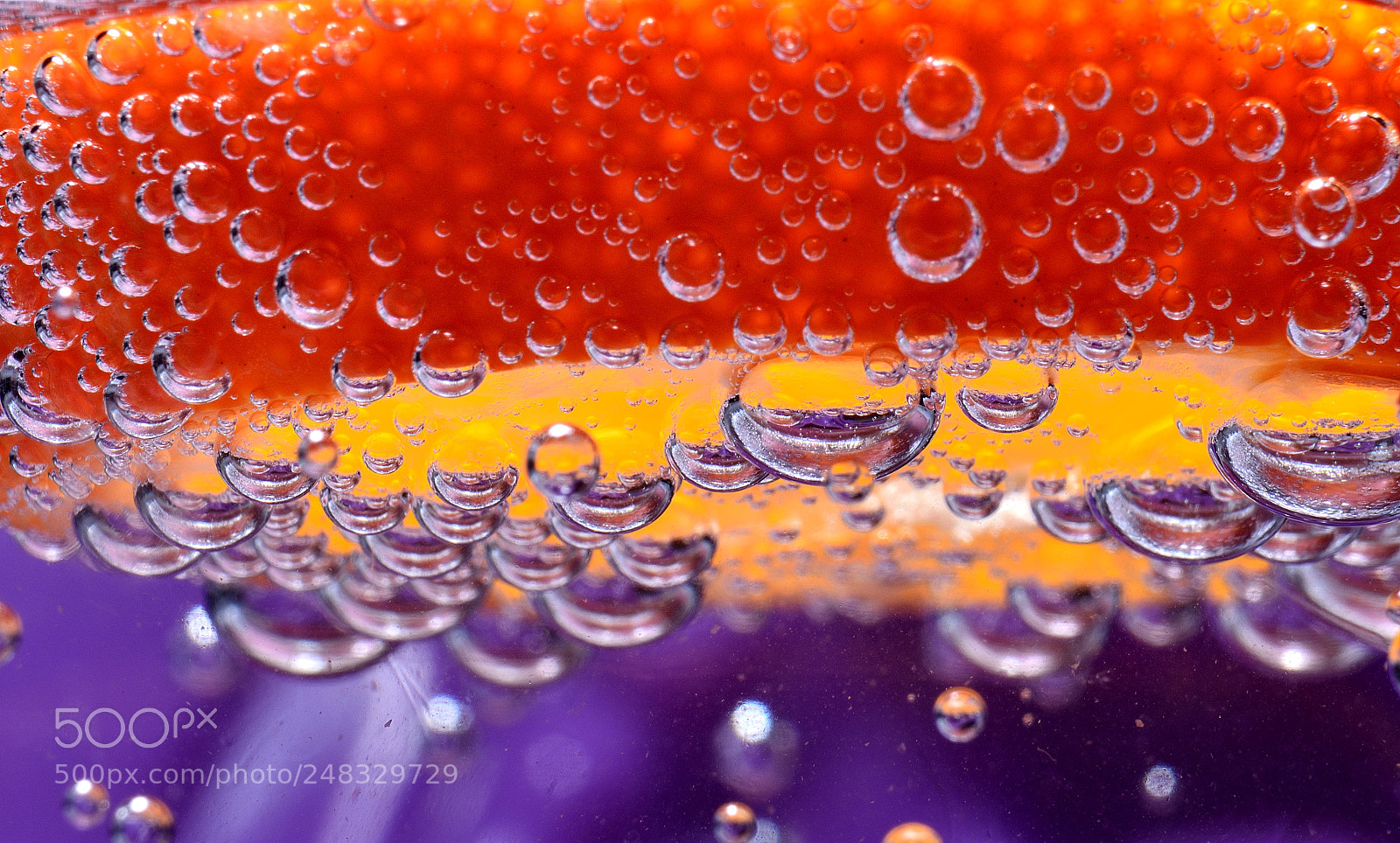 Nikon D5100 sample photo. Orange in mineral water photography