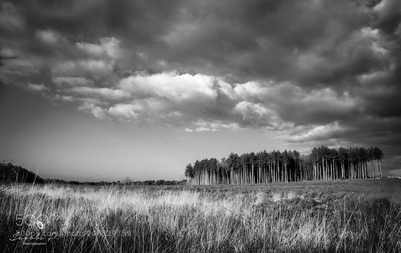Canon EOS 700D (EOS Rebel T5i / EOS Kiss X7i) sample photo. Panoramic b&w art photography