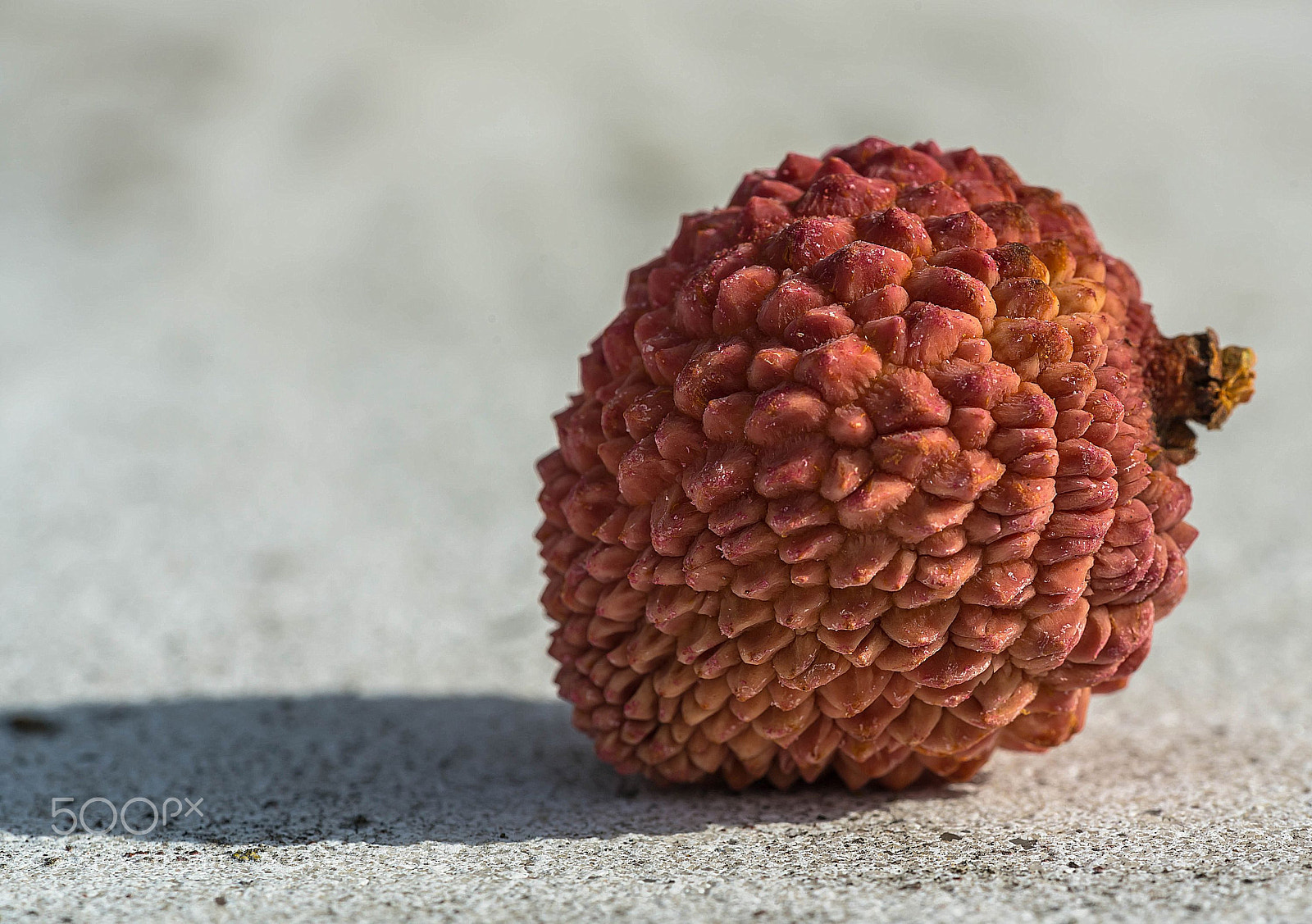 Sony a7R II sample photo. Litschi photography