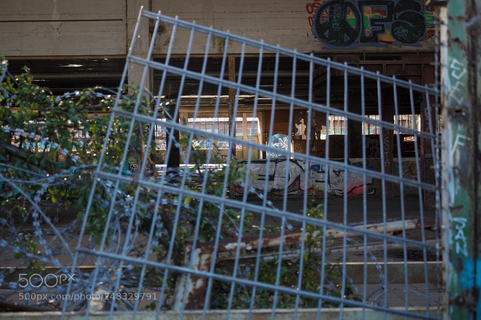 Canon EOS 700D (EOS Rebel T5i / EOS Kiss X7i) sample photo. Locked down photography