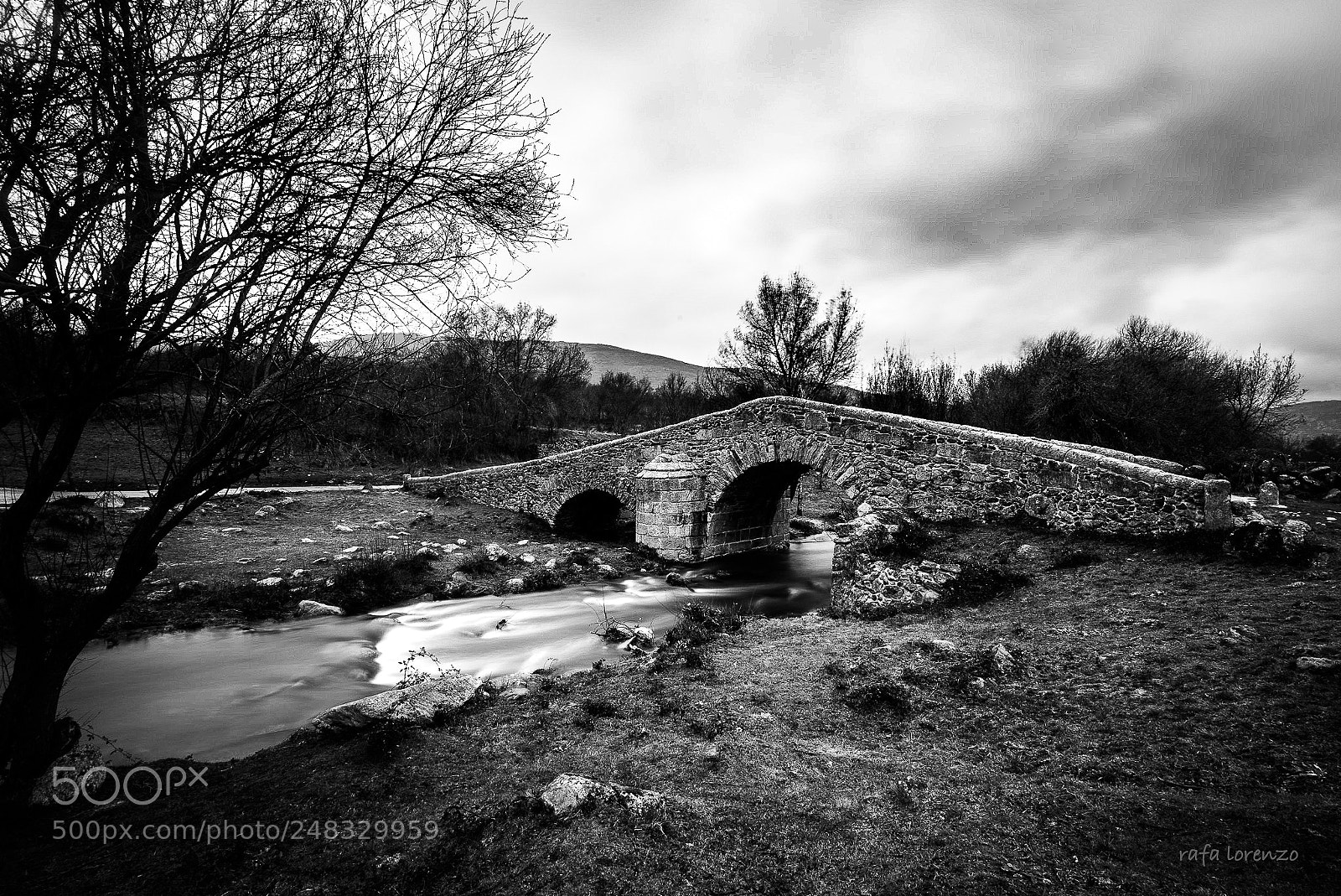 Nikon D810 sample photo. Puente canto en invierno photography
