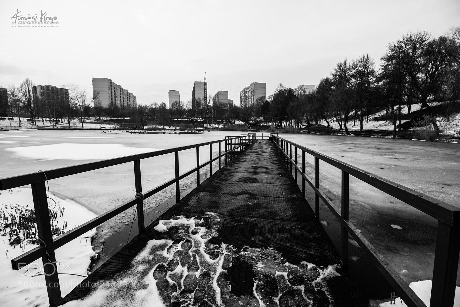 Canon EOS 760D (EOS Rebel T6s / EOS 8000D) sample photo. B&w photography