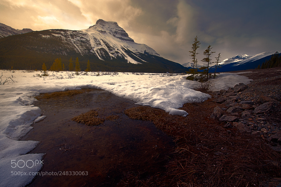 Nikon D700 sample photo. Canadian glow iii photography