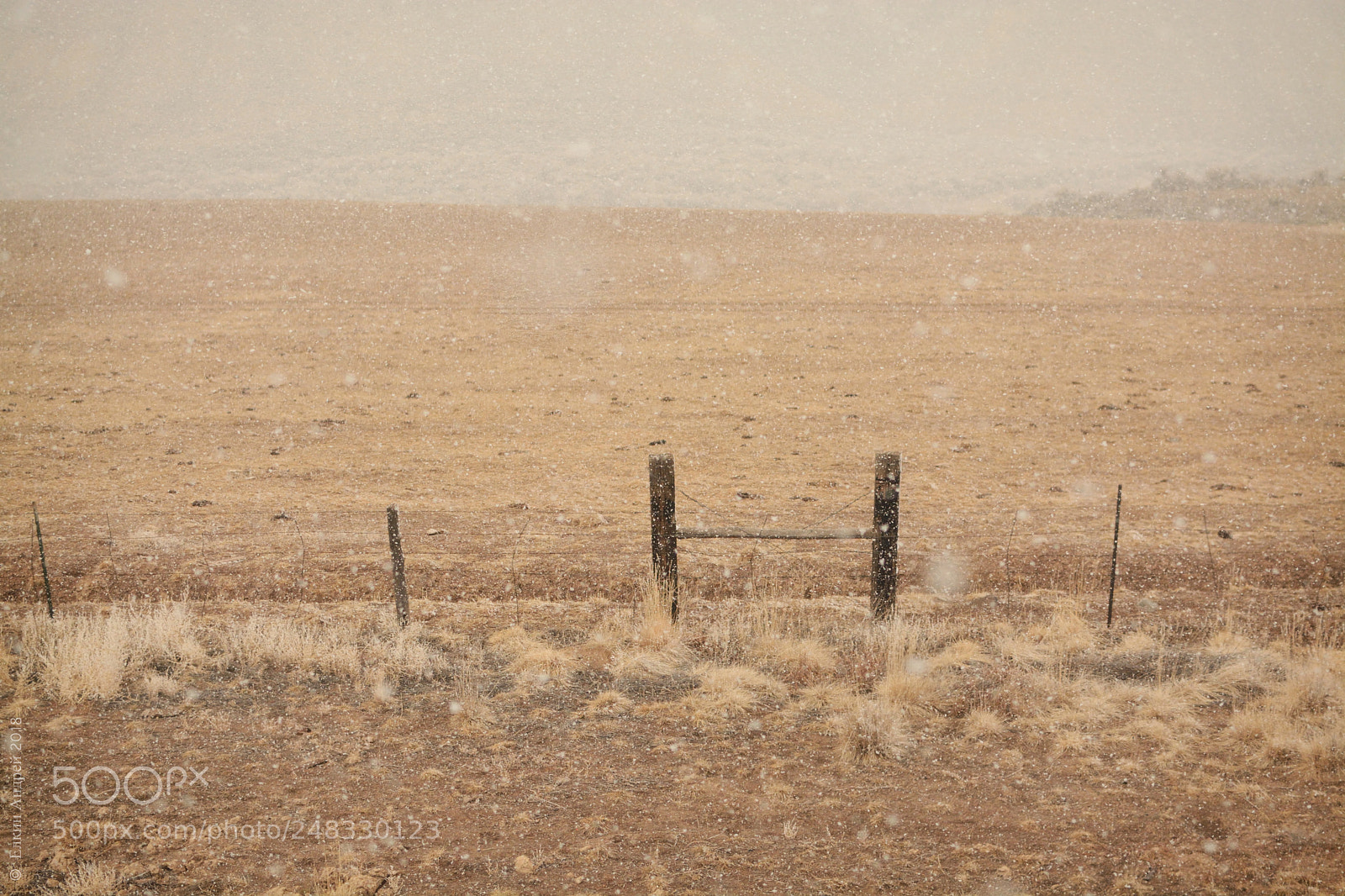 Nikon D7100 sample photo. Snow in colorado photography