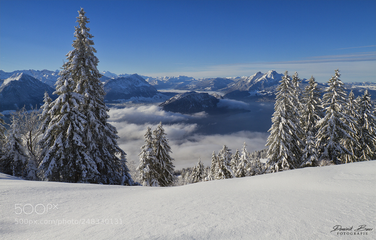 Canon EOS 7D sample photo. Winter dreams photography