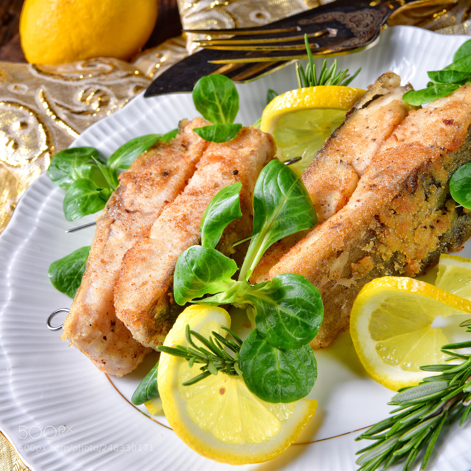 Nikon D810 sample photo. Fried carp fillet on photography