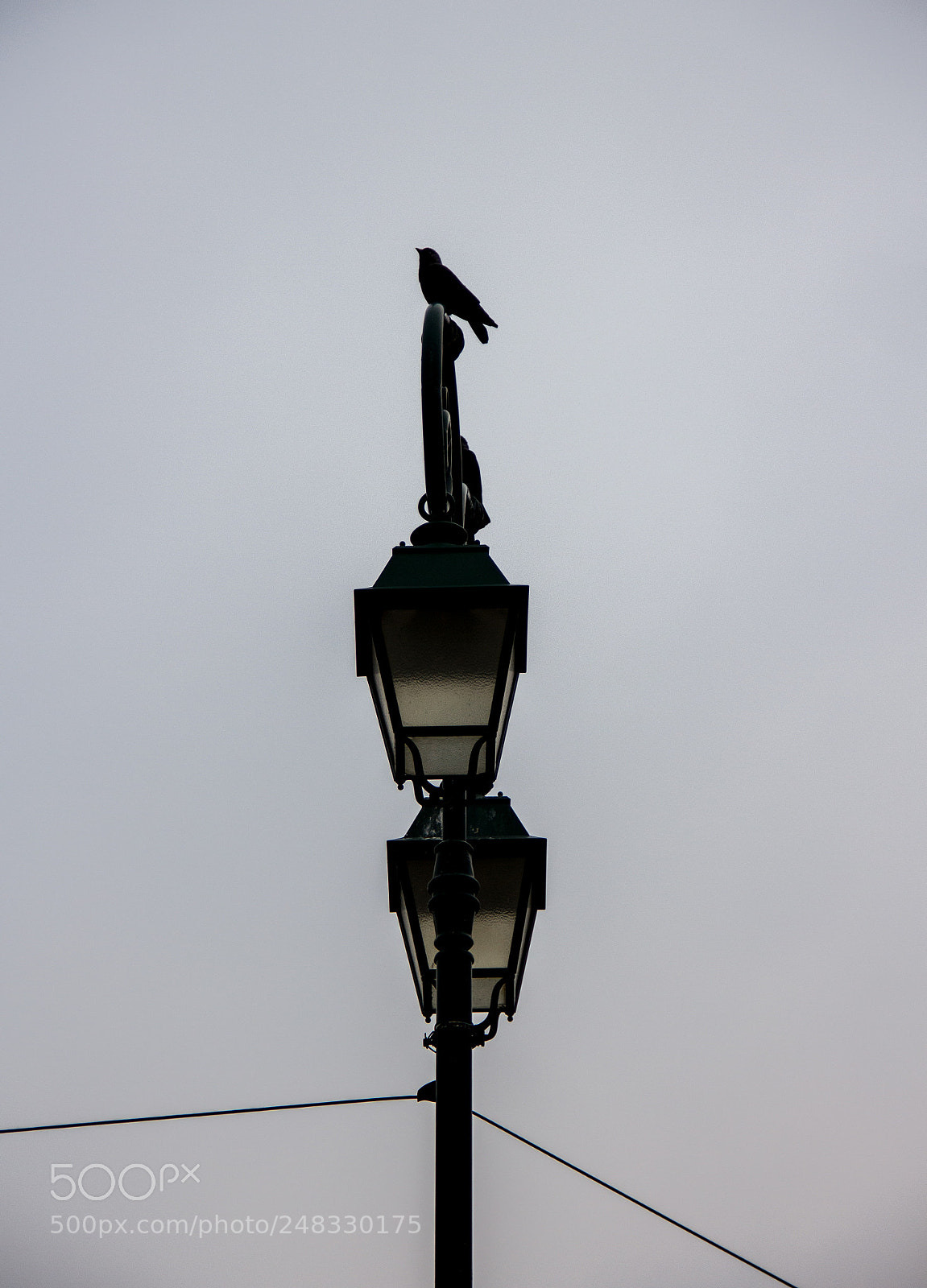 Canon EOS 60D sample photo. Nevermore. photography