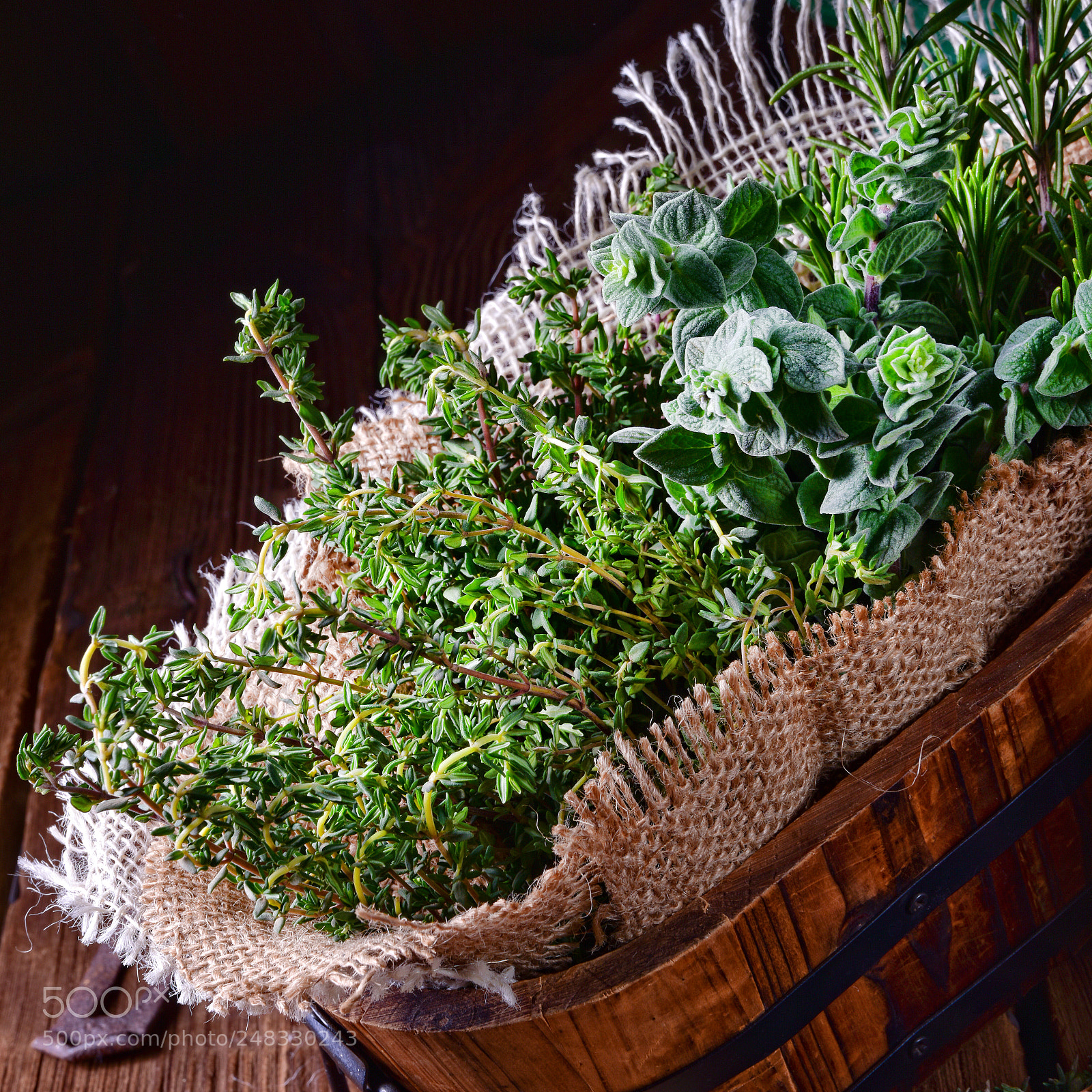 Nikon D810 sample photo. Herbal collection of thyme,oregano photography