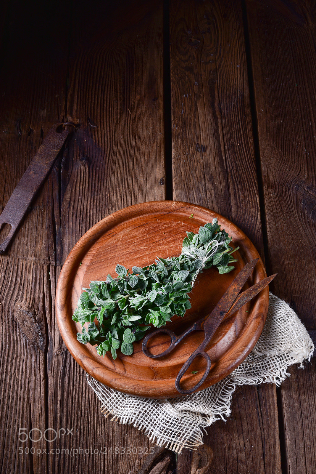 Nikon D810 sample photo. Aromatische oregano (origanum vulgare) photography