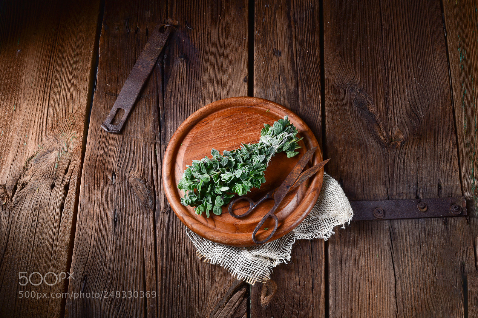 Nikon D810 sample photo. Aromatische oregano (origanum vulgare) photography